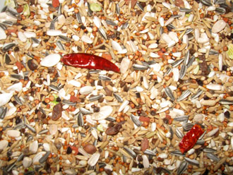 parakeetfood